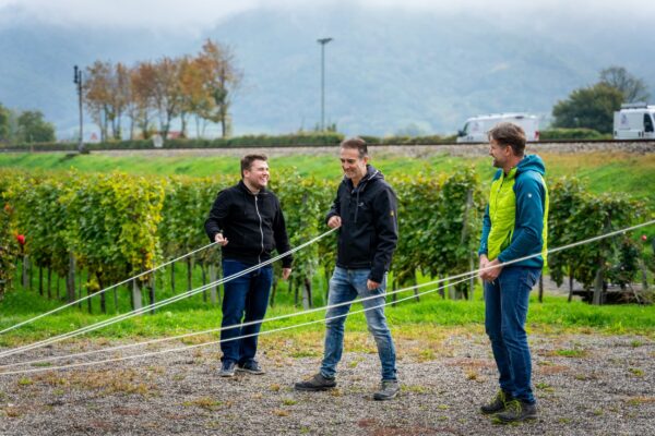 MELTIQ Teamday 2022